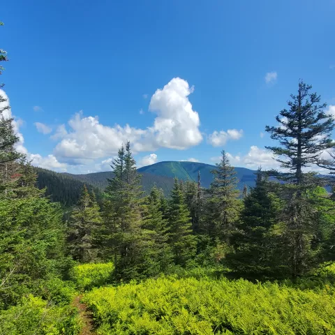 Randonnée en gaspésie