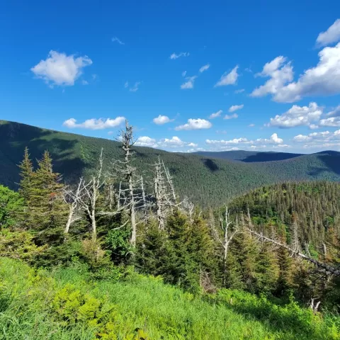 Randonnée en gaspésie