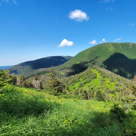 Randonnée en gaspésie