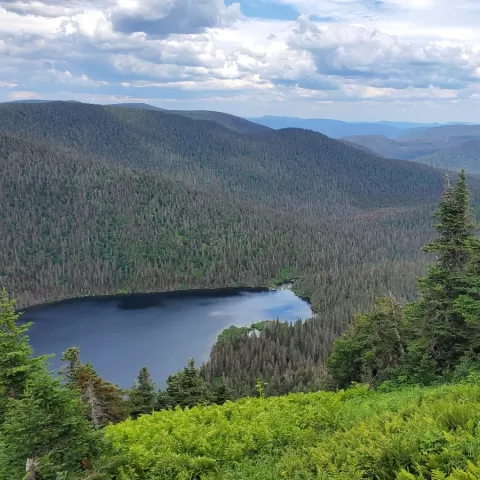 Randonnée en gaspésie